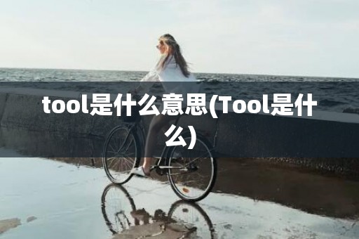 tool是什么意思(Tool是什么)