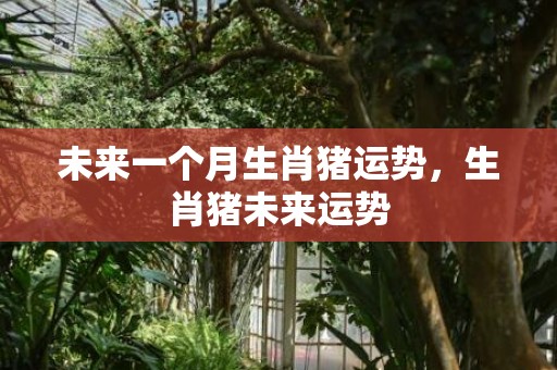 未来一个月生肖猪运势，生肖猪未来运势