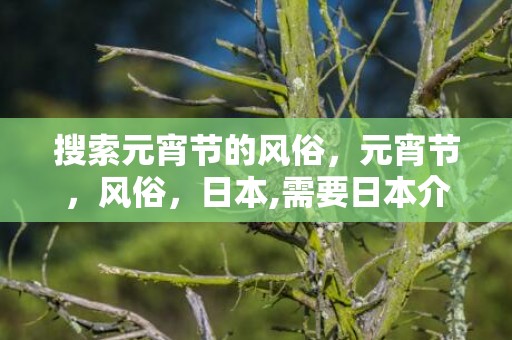 搜索元宵节的风俗，元宵节，风俗，日本,需要日本介绍中国元宵节,汤圆,兔子灯的原版日文文章