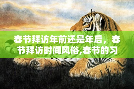 春节拜访年前还是年后，春节拜访时间风俗,春节的习俗和时间？