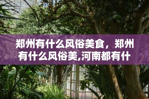 郑州有什么风俗美食，郑州有什么风俗美,河南都有什么民俗文化？