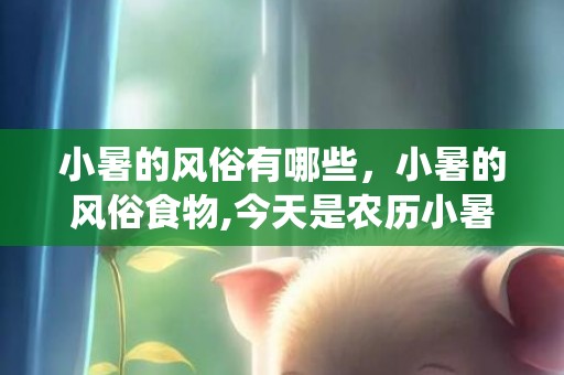 小暑的风俗有哪些，小暑的风俗食物,今天是农历小暑，传统习俗吃什么啊？