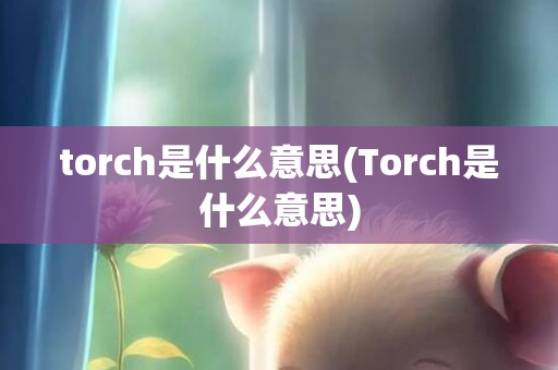 torch是什么意思(Torch是什么意思)