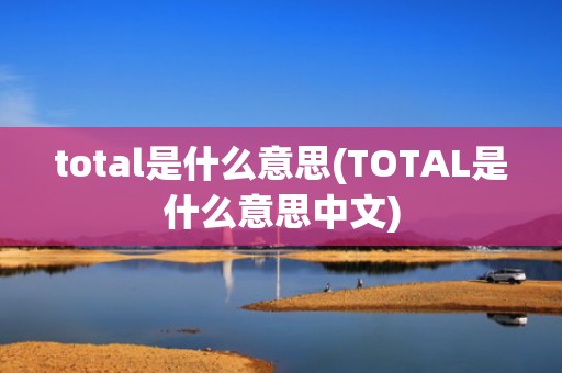 total是什么意思(TOTAL是什么意思中文)