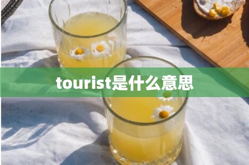 tourist是什么意思