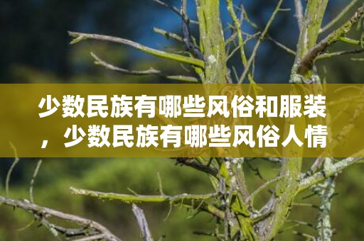 少数民族有哪些风俗和服装，少数民族有哪些风俗人情,少数民族风俗习惯有哪些简单的