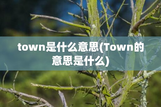 town是什么意思(Town的意思是什么)