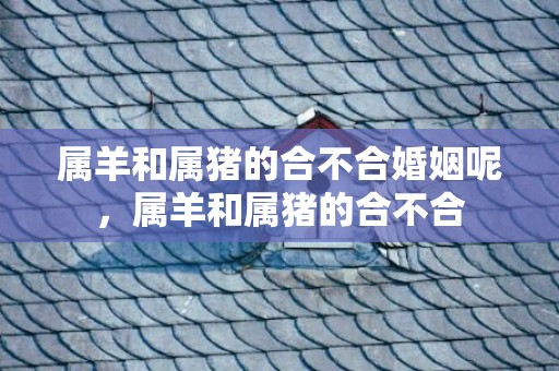 属羊和属猪的合不合婚姻呢，属羊和属猪的合不合