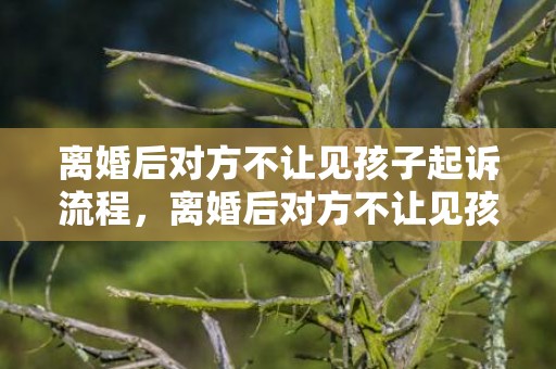 离婚后对方不让见孩子起诉流程，离婚后对方不让见孩子我该怎么办呢 离婚后男方不让看孩子怎么办呢