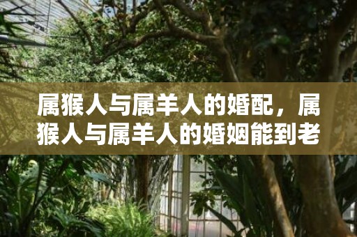 属猴人与属羊人的婚配，属猴人与属羊人的婚姻能到老吗，属猴与属羊人在一起会幸福吗