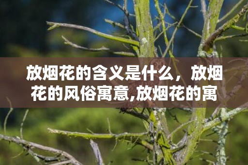 放烟花的含义是什么，放烟花的风俗寓意,放烟花的寓意
