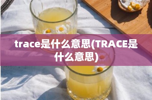 trace是什么意思(TRACE是什么意思)