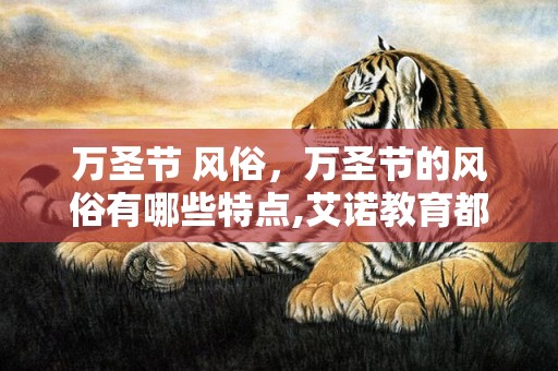 万圣节 风俗，万圣节的风俗有哪些特点,艾诺教育都有什么课程啊？