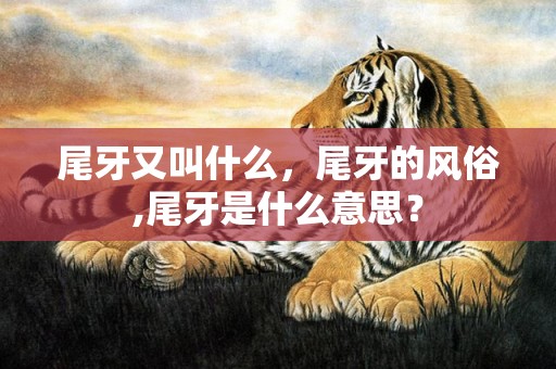 尾牙又叫什么，尾牙的风俗,尾牙是什么意思？
