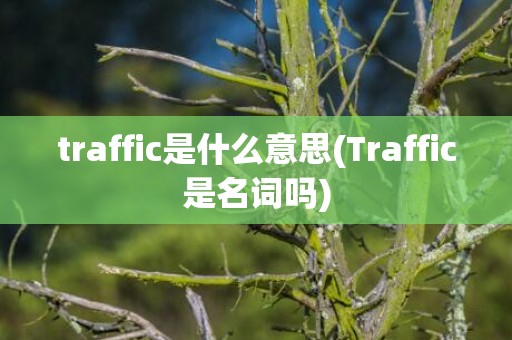 traffic是什么意思(Traffic是名词吗)