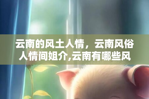 云南的风土人情，云南风俗人情间姐介,云南有哪些风俗？