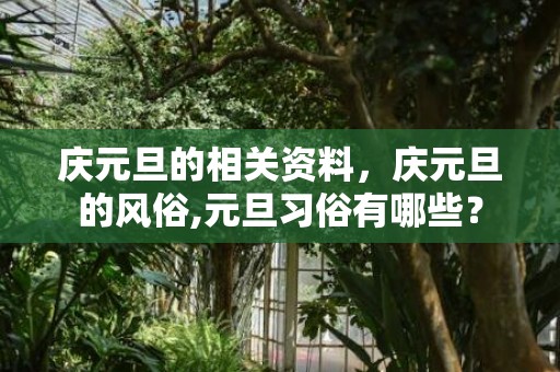 庆元旦的相关资料，庆元旦的风俗,元旦习俗有哪些？
