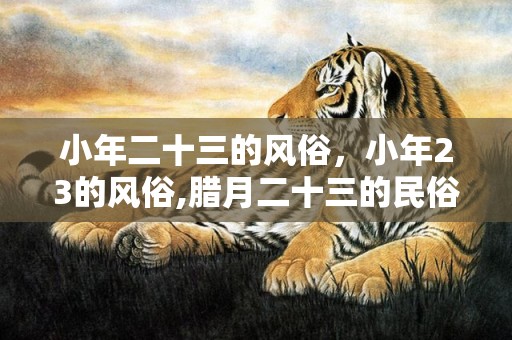 小年二十三的风俗，小年23的风俗,腊月二十三的民俗有哪些？