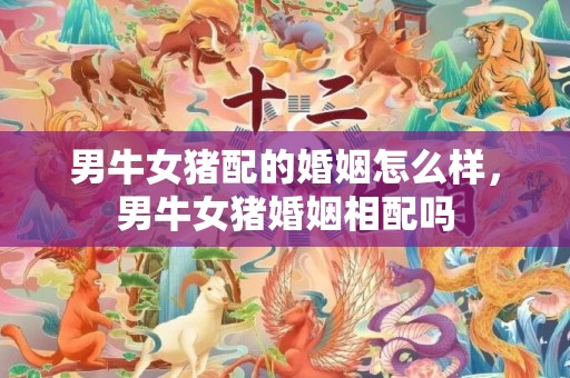 男牛女猪配的婚姻怎么样，男牛女猪婚姻相配吗