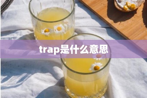 trap是什么意思
