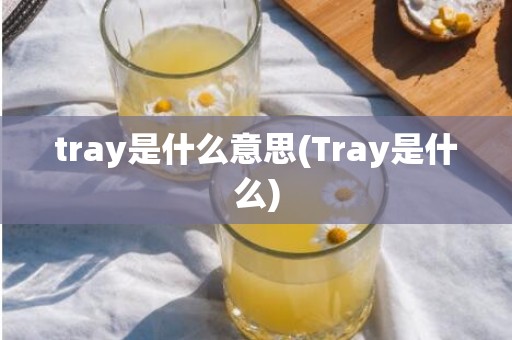 tray是什么意思(Tray是什么)
