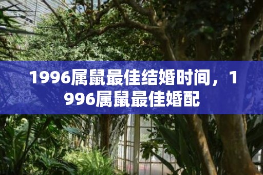 1996属鼠最佳结婚时间，1996属鼠最佳婚配