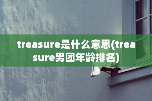 treasure是什么意思(treasure男团年龄排名)