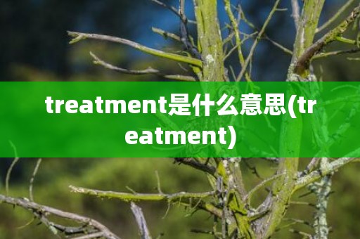 treatment是什么意思(treatment)