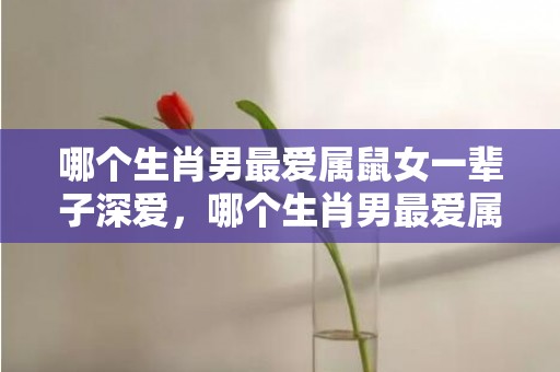 哪个生肖男最爱属鼠女一辈子深爱，哪个生肖男最爱属羊女