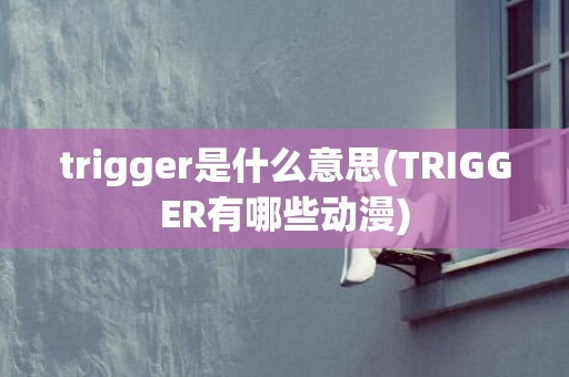 trigger是什么意思(TRIGGER有哪些动漫)