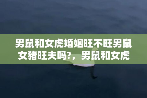 男鼠和女虎婚姻旺不旺男鼠女猪旺夫吗?，男鼠和女虎婚姻旺不旺，属鼠男和属虎女婚后运势如何