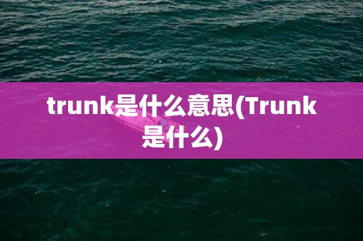 trunk是什么意思(Trunk是什么)