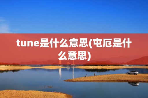 tune是什么意思(屯厄是什么意思)