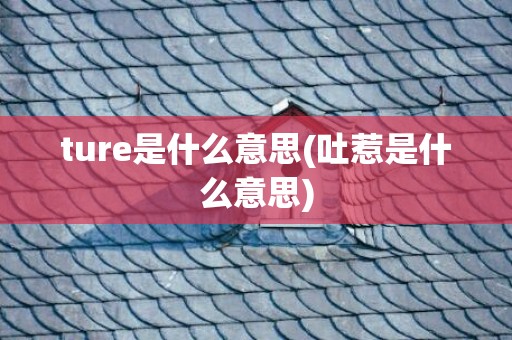 ture是什么意思(吐惹是什么意思)
