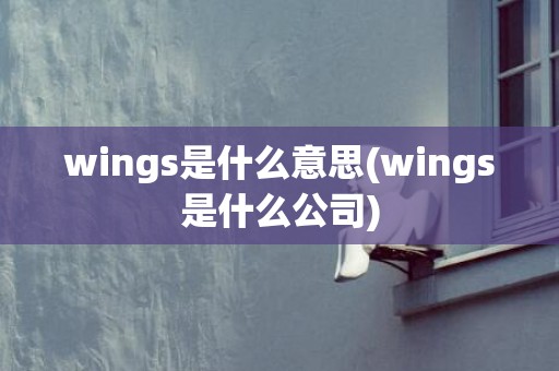 wings是什么意思(wings是什么公司)