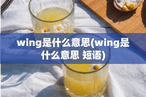 wing是什么意思(wing是什么意思 短语)