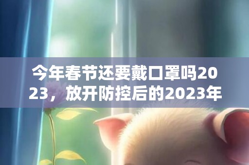 今年春节还要戴口罩吗2023，放开防控后的2023年的春节该是怎么过
