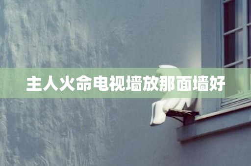 主人火命电视墙放那面墙好