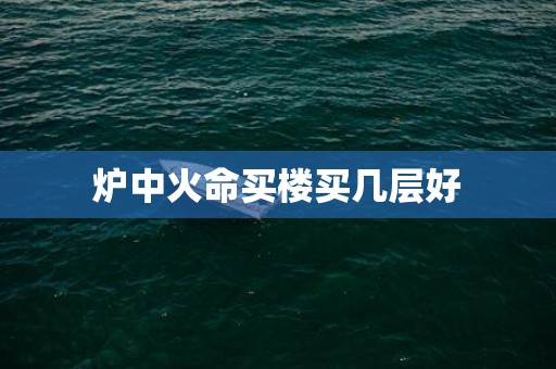 炉中火命买楼买几层好