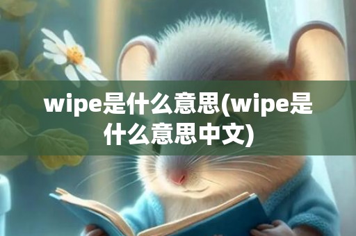 wipe是什么意思(wipe是什么意思中文)