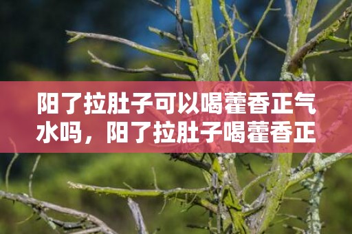 阳了拉肚子可以喝藿香正气水吗，阳了拉肚子喝藿香正气水管用吗