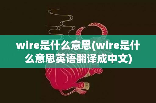 wire是什么意思(wire是什么意思英语翻译成中文)