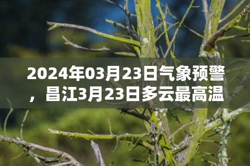 2024年03月23日气象预警，昌江3月23日多云最高温度34℃