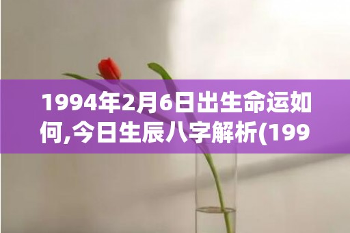 1994年2月6日出生命运如何,今日生辰八字解析(1994年2月6日)