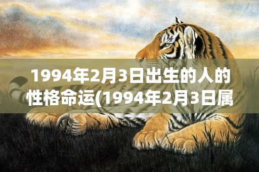 1994年2月3日出生的人的性格命运(1994年2月3日属鸡还是狗)
