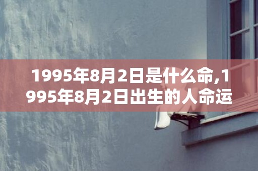 1995年8月2日是什么命,1995年8月2日出生的人命运