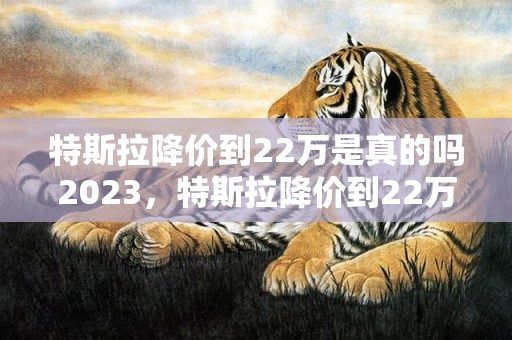 特斯拉降价到22万是真的吗2023，特斯拉降价到22万是哪款车续航多少