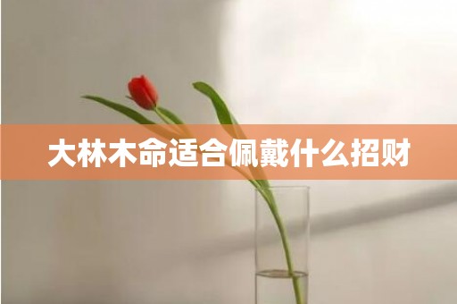 大林木命适合佩戴什么招财