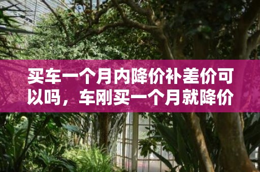 买车一个月内降价补差价可以吗，车刚买一个月就降价了怎么办