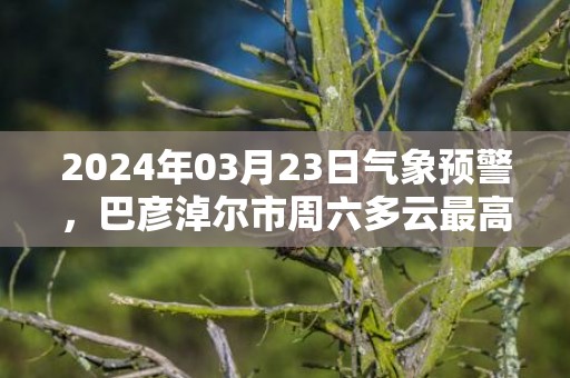 2024年03月23日气象预警，巴彦淖尔市周六多云最高温度16℃